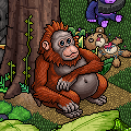 [Habbox] The Habbox Zoo